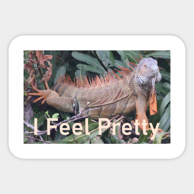 An Iguana Striking a Pose for the Cameras Sticker by Judy Geller